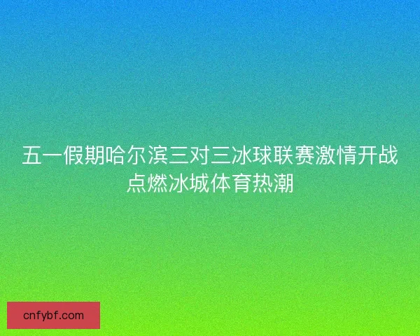 五一假期哈尔滨三对三冰球联赛激情开战点燃冰城体育热潮